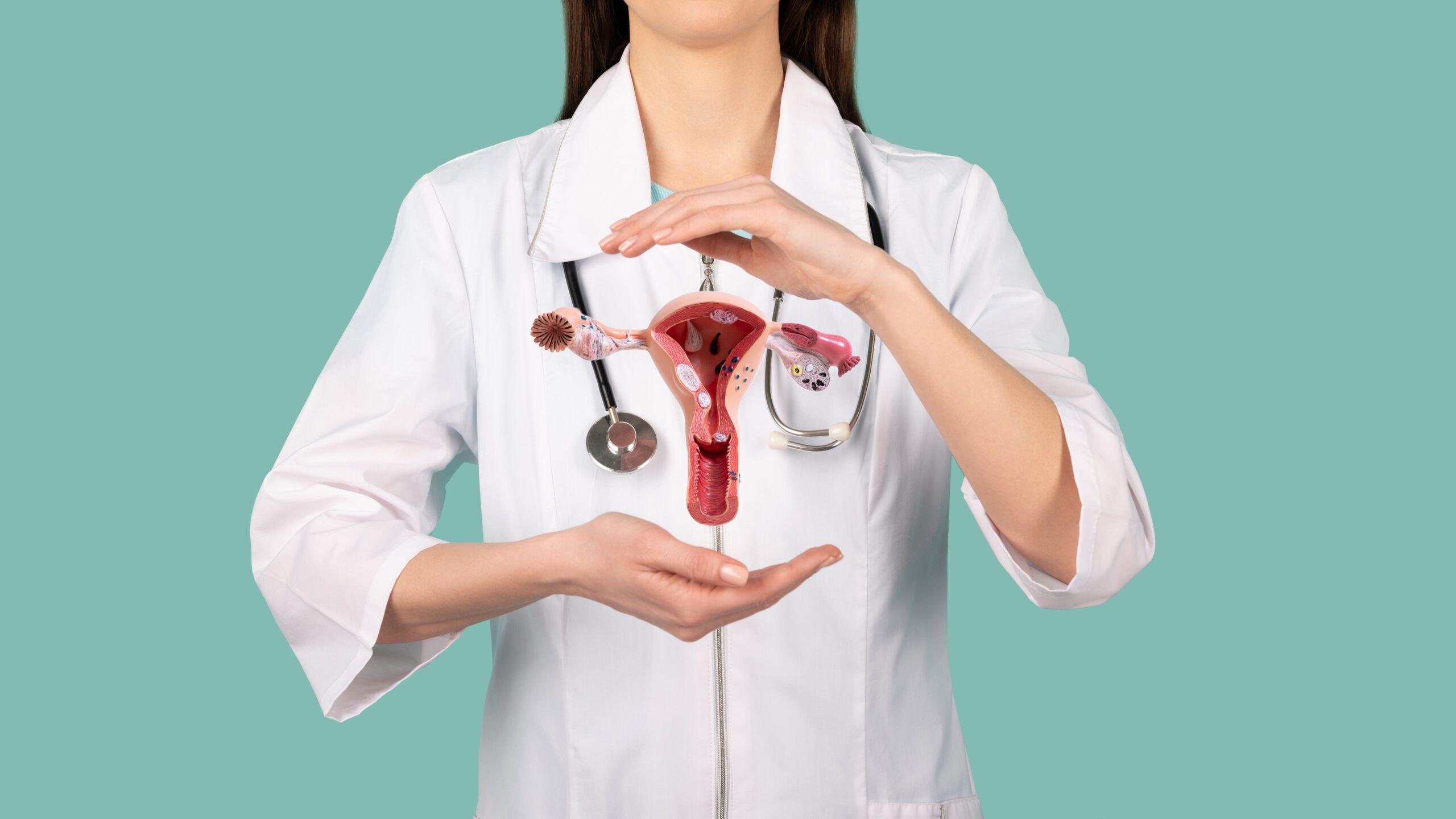 Female,Doctor,Gynecologist,With,A,Stethoscope,Holds,Model,Of,Female
